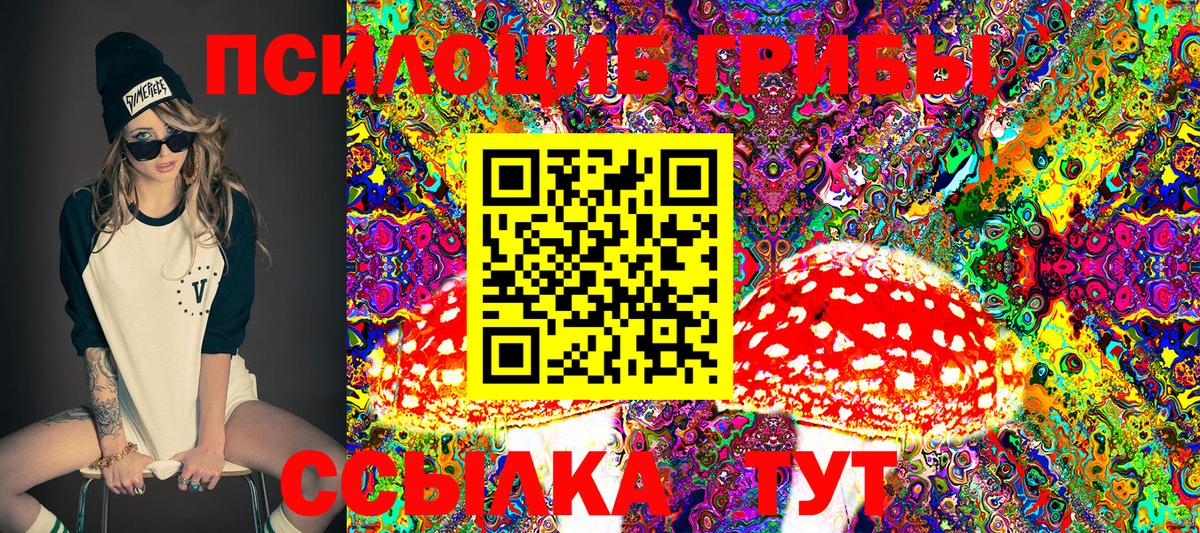 Галлюциногенные грибы Cubensis Зеленокумск